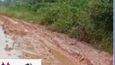 Jalan Wayserdang Arah Jalan Lintas Timur Mesuji Mirip Alur Sungai