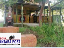 Ada Apa Dengan Wisata Alam Wisata Bukit Luwih Tapen Bondowoso