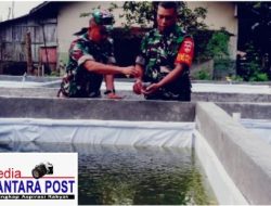 Koramil 07/Wonopringgo Kembangkan Budidaya Ikan Lele