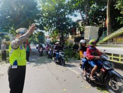 Antisipasi Pohon Tumbang Saat Hujan Kanit Kamsel Satlantas Polres Kediri Lakukan Pemangkasan Dahan Pohon di Jalur Hijau Bersama DLHK