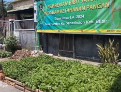 MANFAATKAN DANA DESA TH 2024 DESA SUMBER UNTUK KETAHANAN PANGAN.