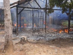 Jago Merah Mengamok di Rumah warga  Akibat Arus Listrik 