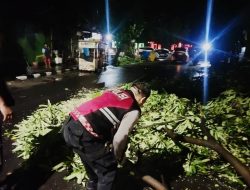 Gercep, Polisi Kota Kediri Evakuasi Pohon Tumbang di Jalur Mudik