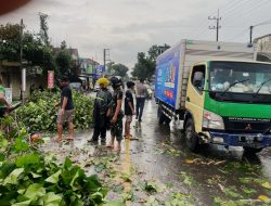 Pohon Tumbang Di Kec. Ngadiluwih Kediri Akibat Hujan Lebat Dan Angin Kencang Anggota Unit Turjagwali Lakukan Pengaturan Lalulintas
