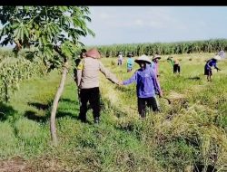 Dukung Ketahanan Pangan, Polisi Kota Kediri Sambangi Petani