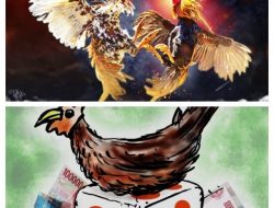 Lebaran Berlalu, Judi Sabung Ayam Dan Dadu Di Kab Kediri Kembali Marak
