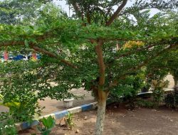 KITA TELAH MEMILIH By Arifulhak Atjeh