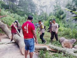 Sigap, Polisi bersama Warga Tangani Longsor di Ponorogo, Jalur Ngrayun-Jajar Kembali Lancar