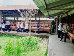 Dukung Program Pemerintah Ketahanan Pangan Nasional Melalui Pengembangan Ternak Kambing