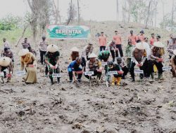 Dukung Ketahanan Pangan, Polres Kediri Kota Tanam Jagung Serentak