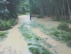 Akibat Hujan deras jalan usaha tani dan perkebunan warga kebanjiran