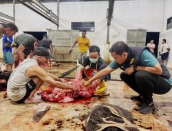 Satreskrim Polres Jombang Lakukan Pengecekan Rumah Pemotongan Hewan Terkait Wabah PMK