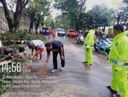 Gerak Cepat, Polisi Bantu Evakuasi Pohon Tumbang di Pinggir Jalan Raya Gurah