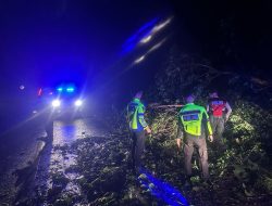 Gabungan Satlantas dan satuan samapta Polres Mesuji Bersihkan Pohon tumbang yang Menghalangi jalan akibat Hujan deras di sertai angin di jalan lintas timur