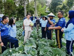 Seskoau Panen Sayuran : Optimalisasi Lahan Kosong untuk Ketahanan Pangan Nasional