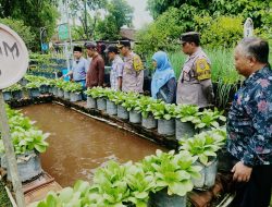 Kapolsek Warujayeng Tinjau Pemanfaatan Lahan Pekarangan Lestari di Pomosda