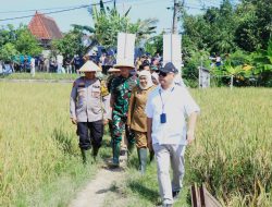 Dukung Ketahanan Pangan Kapolda Jatim Bersama Forkopimda Panen Raya Padi di Ngawi