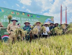 Kapolres Kediri Kota Bersama Forkopimda Ikuti Panen Raya Padi Serentak Bersama Presiden RI