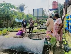 Polsek Plosoklaten Monitoring Pekarangan Pangan Bergizi