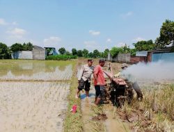 Dukung Ketahanan Pangan, Bhabinkamtibmas Kel Tamanan Sambang Petani di Sawah
