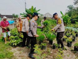 Panen Raya Pekarangan Lestari, Polsek Pagu dan Warga Wujudkan Ketahanan Pangan Mandiri