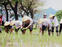 Dukung Ketahanan dan Swasembada Pangan, Kapolres Kediri Kota Bersama Forkopimda Tanam Padi Serentak