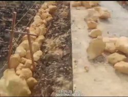 Indikasi Proyek TPT Siluman Di Desa Selorejo Berpotensi Penuh Masalah