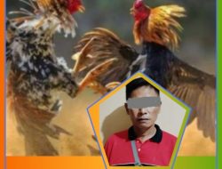 Tegur Sabung Ayam, Warga Kertosono Dianiaya hingga Terluka