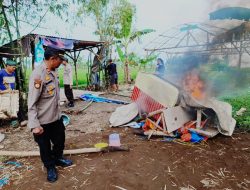 *Polsek Sukomoro Bongkar Arena Judi Sabung Ayam dan Dadu di Timur Punden Sukomoro