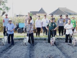 *Wujudkan Ketahanan Pangan, Polres Kediri Tanam Jagung Serentak Kuartal III*