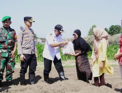 *Penanaman Jagung Serentak Kuartal III, Wujud Kolaborasi Polres Kediri Kota dan Pondok Pesantren Dukung Swasembada Pangan