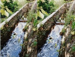 *Aliran Sungai Badas Di Duga Tempat Pembangan Limbah PT Mahatex Kediri*