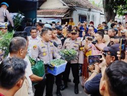 *Polres Jombang Bongkar Budidaya Ganja di Rumah Kontrakan,110 Batang Disita*