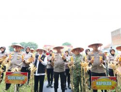*Polda Jatim Gelar Panen Raya Jagung Serentak Kuartal IV di Sidoarjo