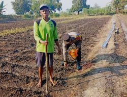 Polsek Kudu Lakukan Pendampingan Penanaman Benih Jagung Bantuan Dinas Pertanian melalui Polres Jombang