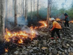 *Cepat Tanggap, Babinsa Koramil Sutojayan Bersama Tim Gabungan Berhasil Padamkan Karhutla 2 Hektar Di Blitar*