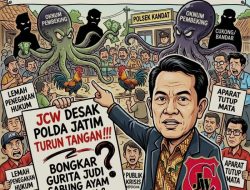 *JCW Desak Polda Jatim Turun Tangan!!!, “Bongkar Gurita Judi Sabung Ayam Dan Dadu Di Desa Weru dan Oknum Pembeking*???”
