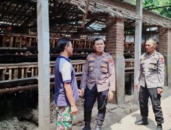 *Jaga Produksi Telur, Polsek Kandat Bina Peternak Dukung Ketahanan Pangan